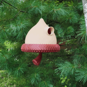 Giant Acorn Bird House