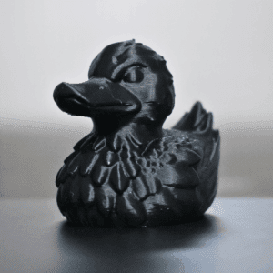 Black Raven Duck