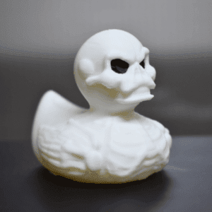 Skeleton Duck