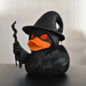 Wizard Duck