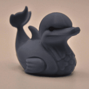 Dolphin Duck