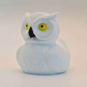 Owl Duck
