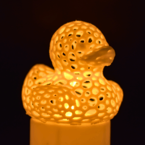 Voroni Duck