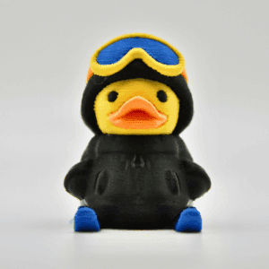 Winter Ski Duck