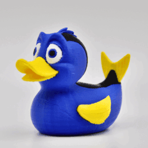 Dory Duck