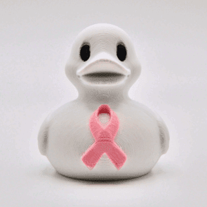 Breast Cancer Awareness Duck