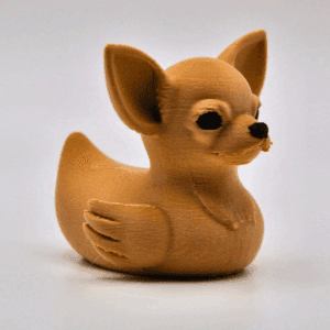 Chihuahua Duck