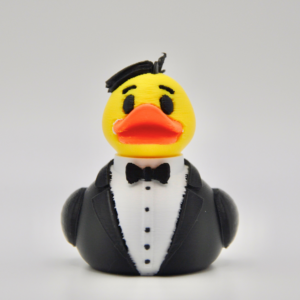 Groom Duck